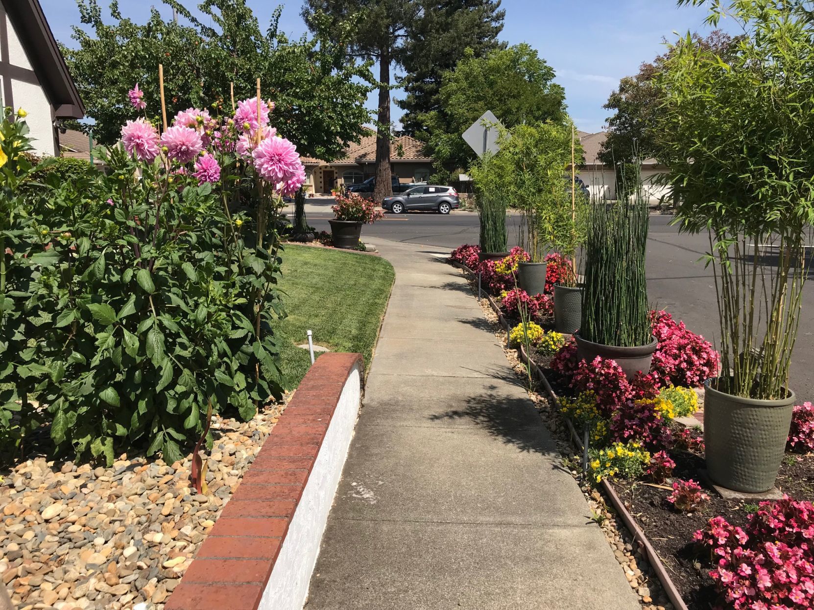 Flowers at Marcell and Brian Gallagher's north Napa home.